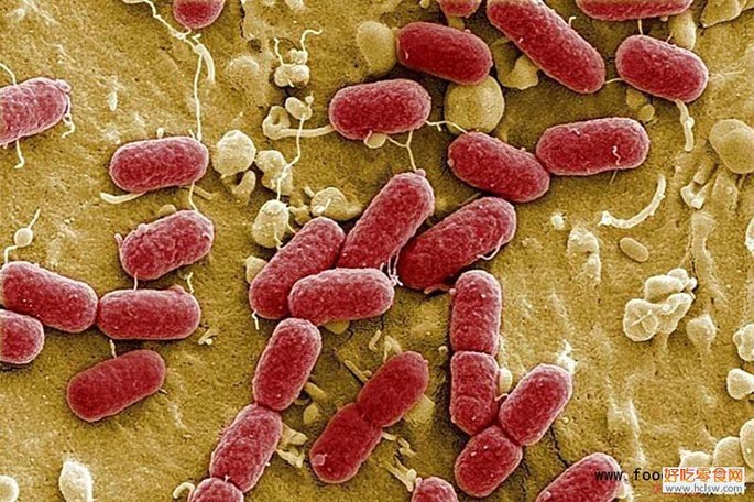 食品干燥劑微生物.jpg 食品干燥劑微生物.jpg